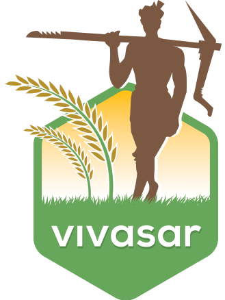 Vivasar Logo